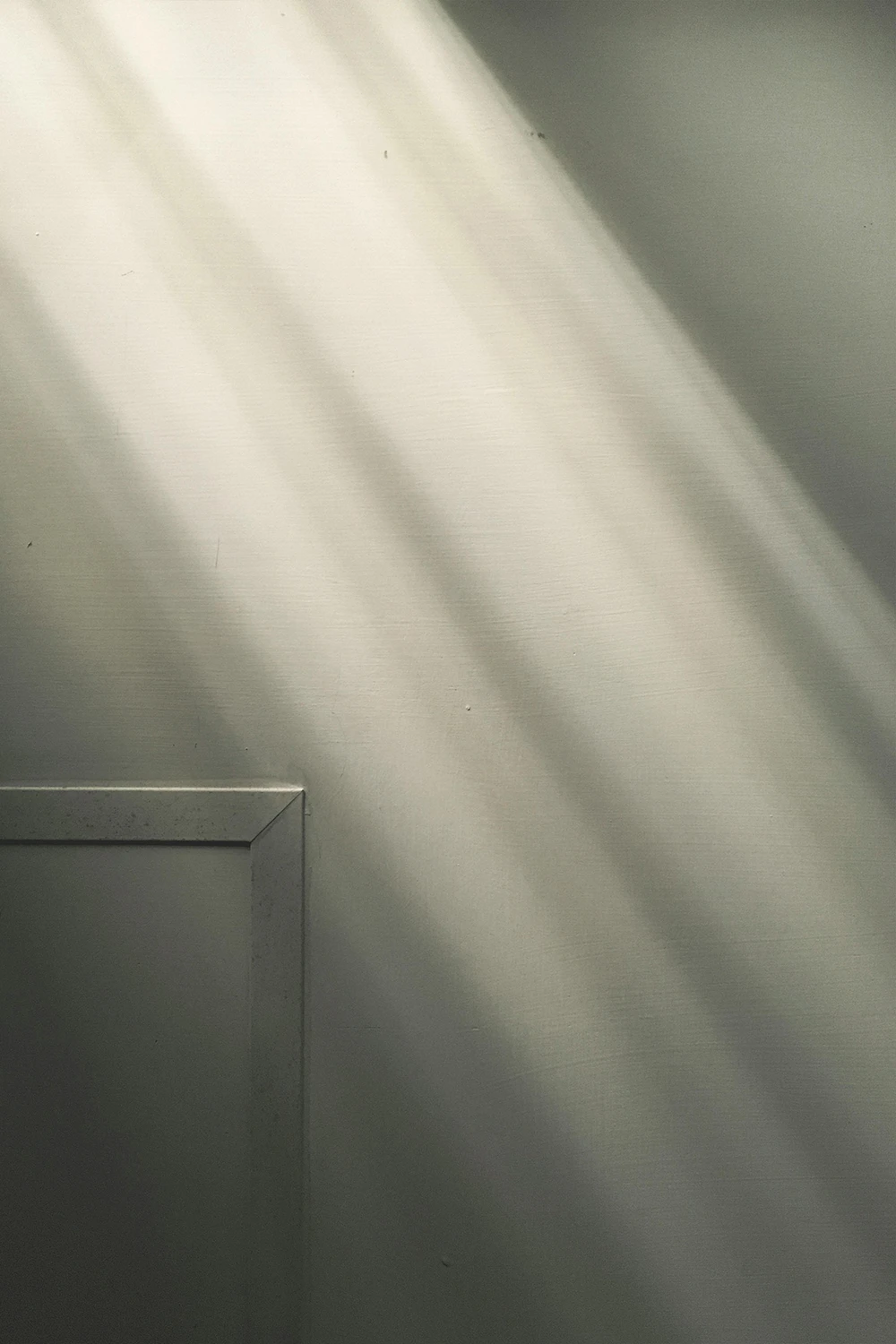 Professional camera content creation