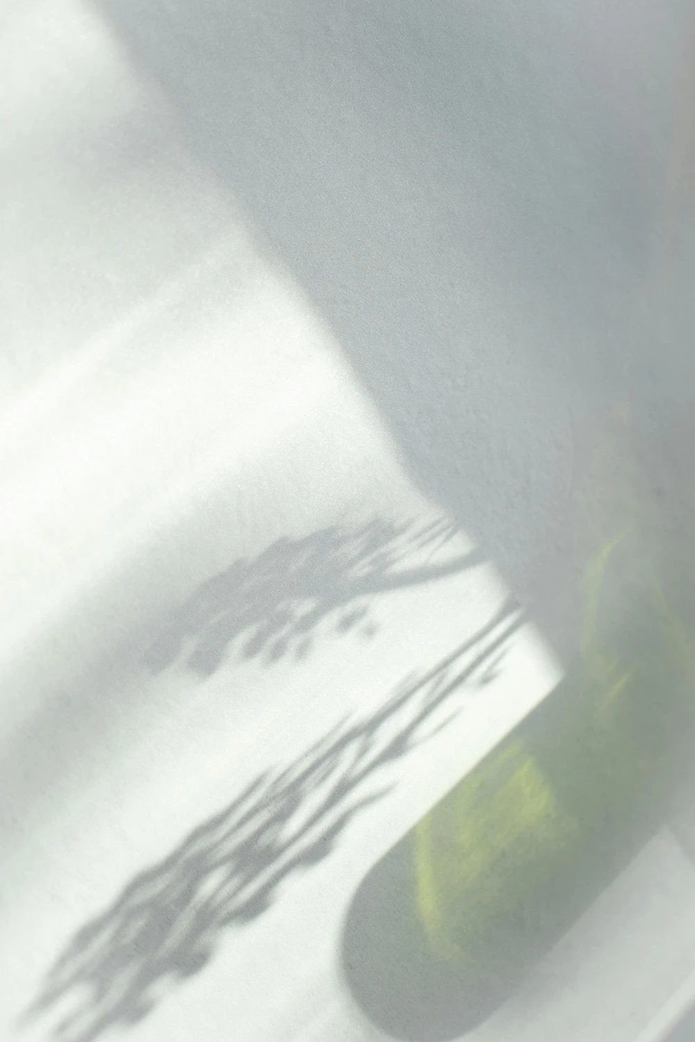 Professional camera content creation