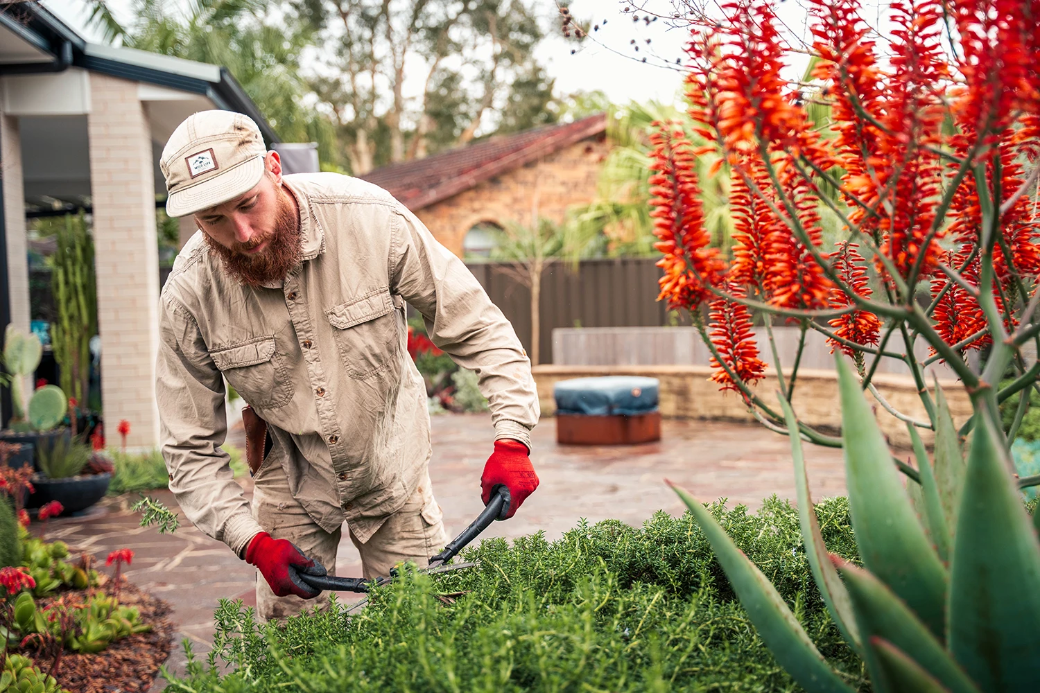 Mowing services photography
